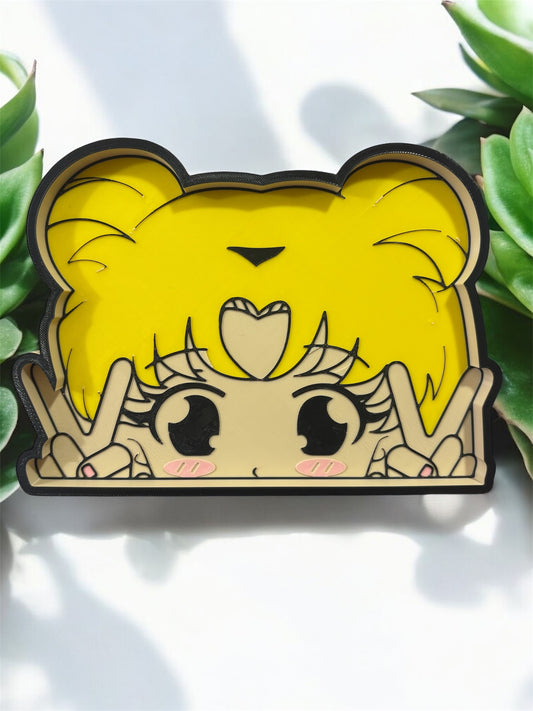 Sailor moon tray