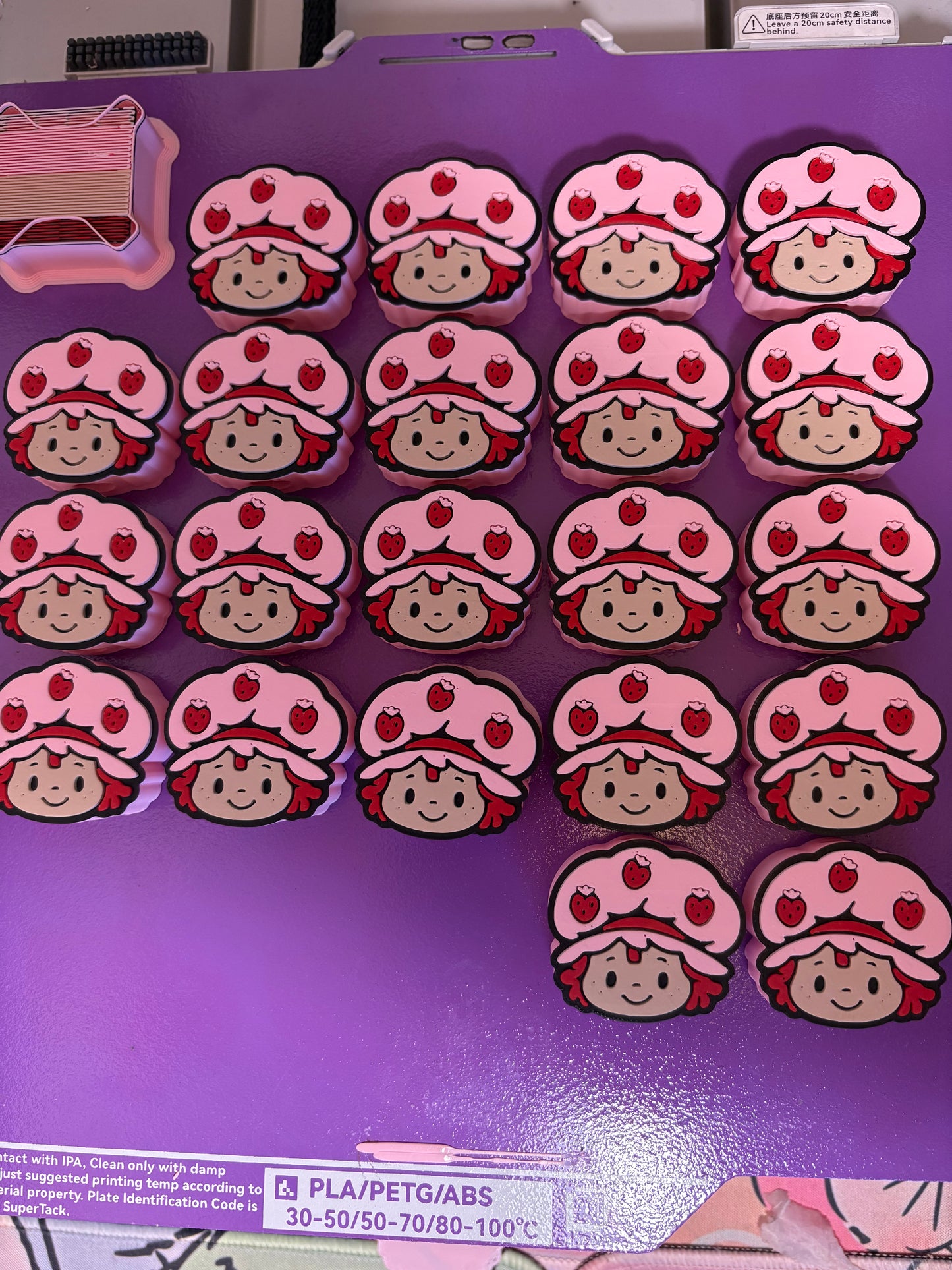 Strawberry shortcake girl includes 15 units